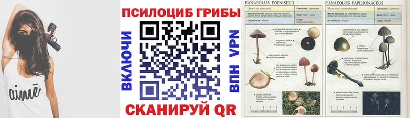 купить наркоту  Янаул  Псилоцибиновые грибы ЛСД 